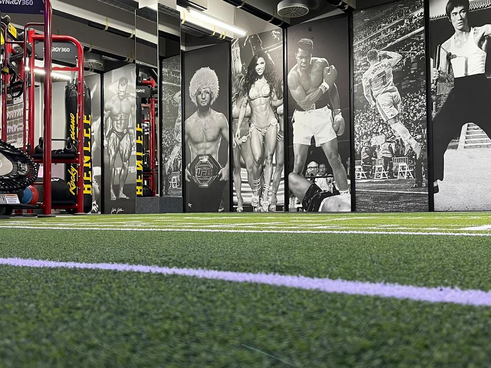 Trainingsfläche mit Rig und Kunstrasen im FTB Fitness Training Nürnberg